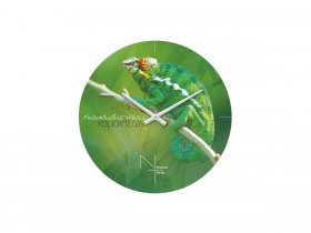Часы настенные Nicole Time NT503 в Красноглинном - krasnoglinnoe.mebel-nsk.ru | фото