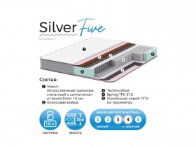Матрас Silver Five в Красноглинном - krasnoglinnoe.mebel-nsk.ru | фото
